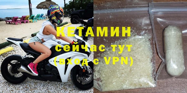 шишки Богородицк