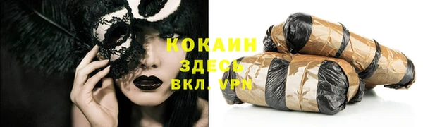 шишки Богородицк
