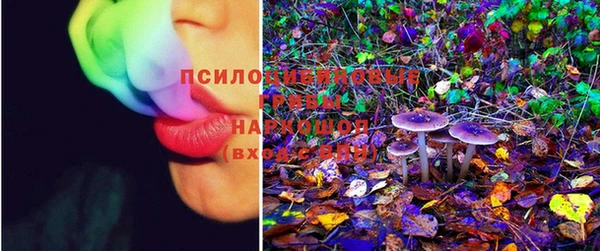 таблы Богданович
