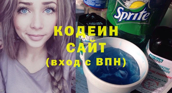шишки Богородицк