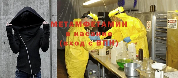 шишки Богородицк