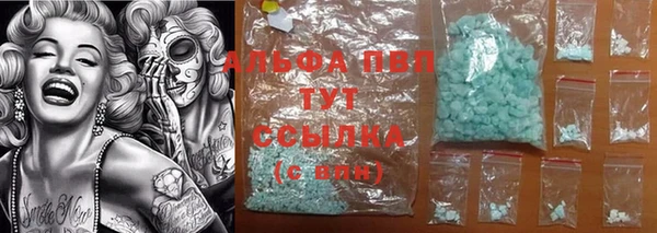 шишки Богородицк