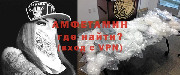 шишки Богородицк