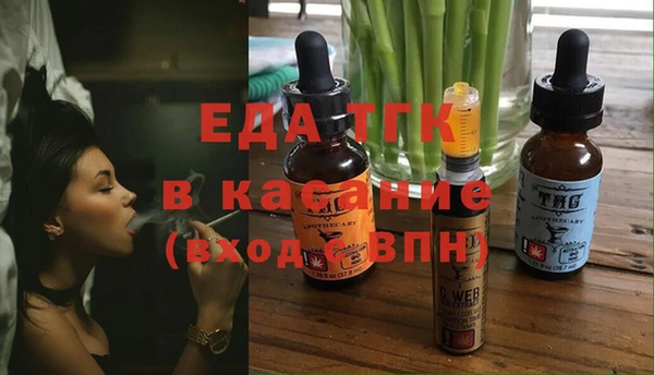 шишки Богородицк