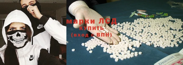 шишки Богородицк