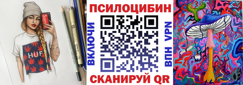 Купить  Курчатов  Галлюциногенные грибы Magic Shrooms 