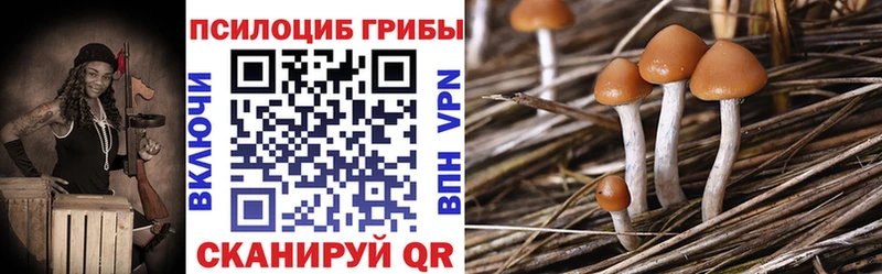 Галлюциногенные грибы прущие грибы Курчатов
